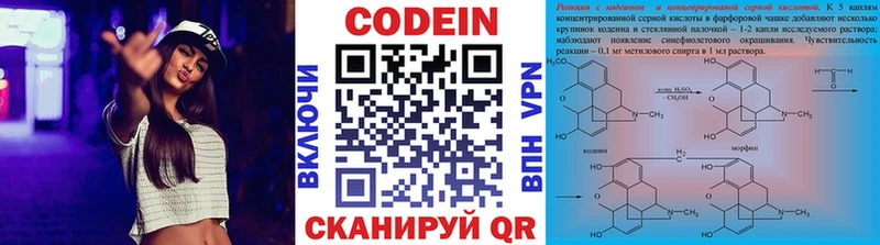 наркотики  Заводоуковск  hydra маркетплейс  Кодеиновый сироп Lean Purple Drank 
