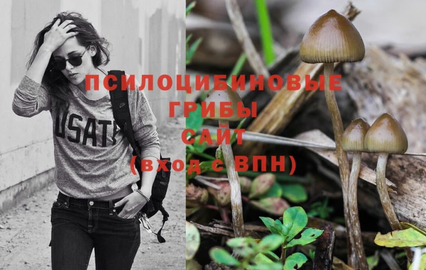 кокаин VHQ Гусев