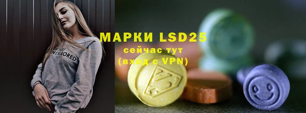 ГАЛЛЮЦИНОГЕННЫЕ ГРИБЫ Гусь-Хрустальный