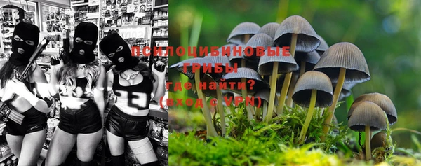 ГАЛЛЮЦИНОГЕННЫЕ ГРИБЫ Гусь-Хрустальный